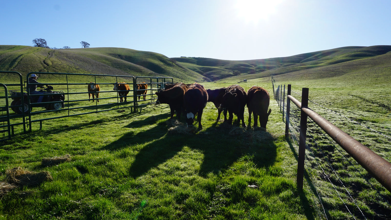 Rolling Hills & Open Range